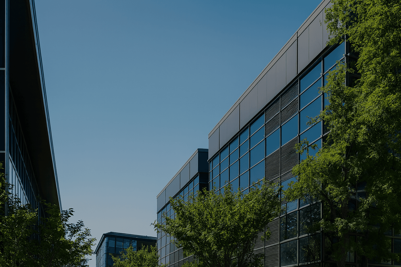 T&P社労士事務所